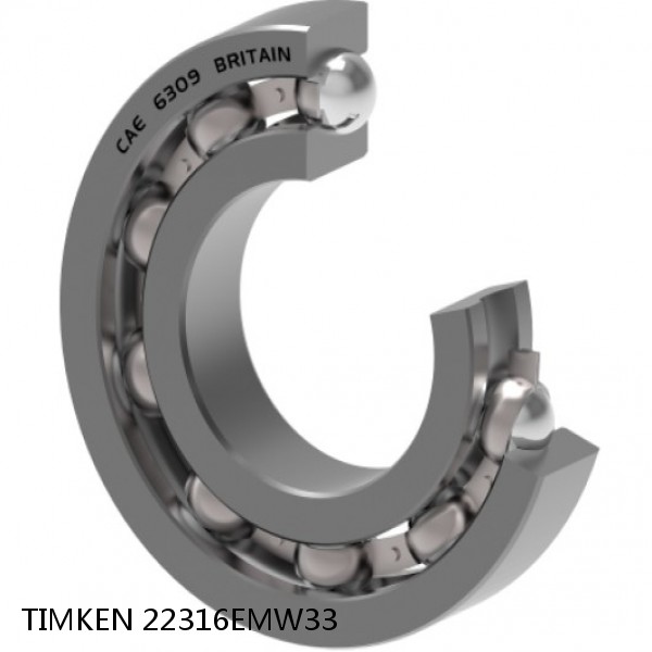 22316EMW33 TIMKEN Full Complement Cylindrical Roller Radial Bearings