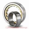25 mm x 52 mm x 15 mm  SIGMA N 205 cylindrical roller bearings