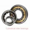 Toyana NF213 cylindrical roller bearings