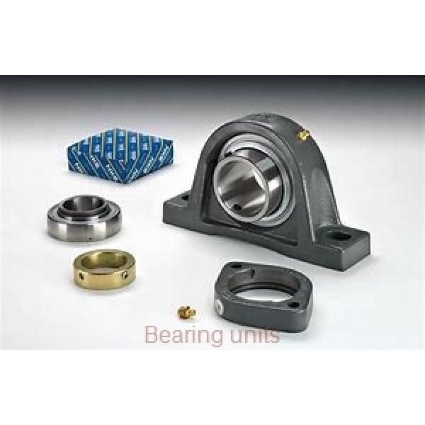 INA TASE55 bearing units #1 image