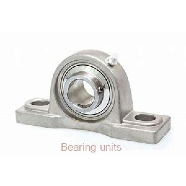 INA RTUEY25 bearing units #1 image