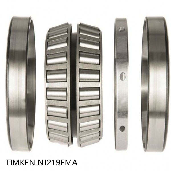 NJ219EMA TIMKEN Tapered Roller Bearings TDI Tapered Double Inner Imperial #1 image